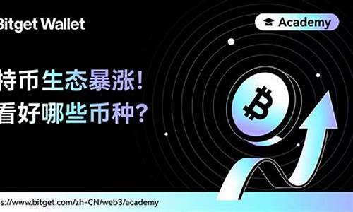 探索BTC钱包类型：热钱包 vs. 冷钱包(比特币 冷钱包 热钱包)(图1)